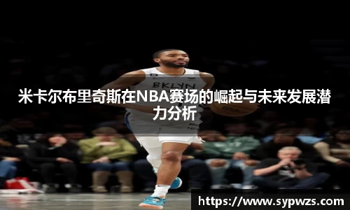 米兰·MILAN体育官方网站